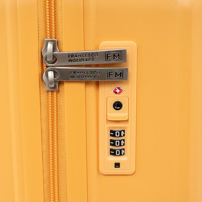 Чемодан на колесах Francesco Molinary 344-PP4041/2-24MST