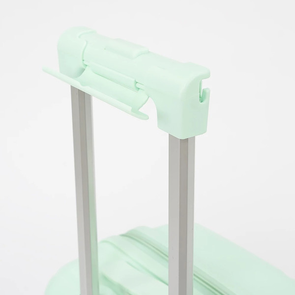 Чемодан на колесах Francesco Molinary 344-PP4041/3-20MNT