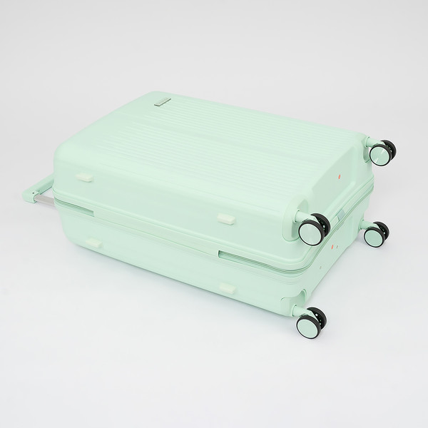 Чемодан на колесах Francesco Molinary 344-PP4041/3-28MNT