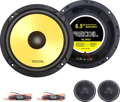 Компонентная АС Recoil RLM65 - фото