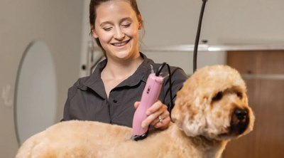 Машинка для стрижки шерсти Wahl 3027126