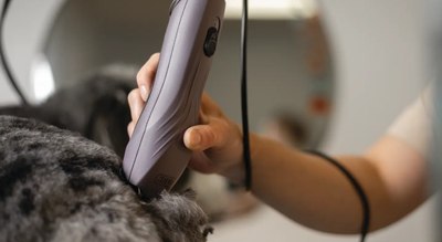 Машинка для стрижки шерсти Wahl 3027126