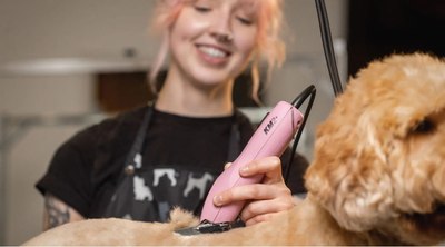 Машинка для стрижки шерсти Wahl 3027126