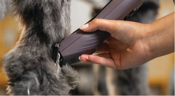 Машинка для стрижки шерсти Wahl 3027127