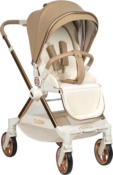 Детская прогулочная коляска Farfello Olivia - фото