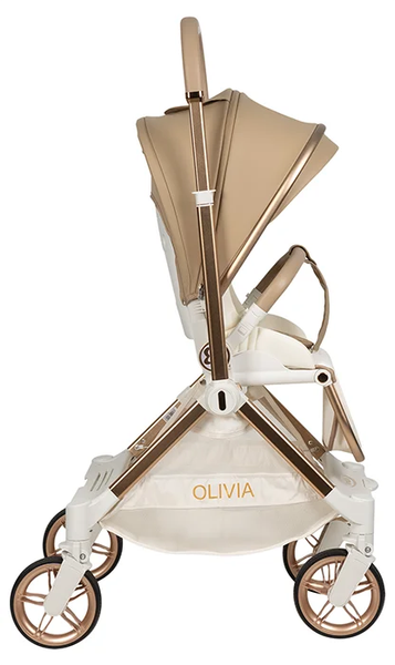 Детская прогулочная коляска Farfello Olivia