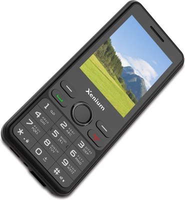 Мобильный телефон Xenium X280 32MB/32MB