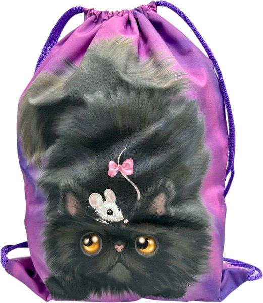 Мешок для обуви Centrum Черный кот / 73632 - фото