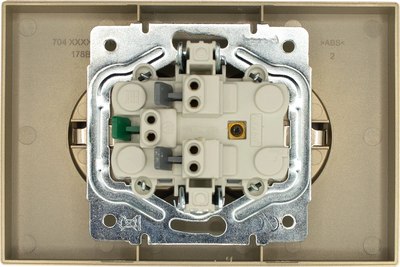 Розетка Lezard Zima 704-3600-127BQC