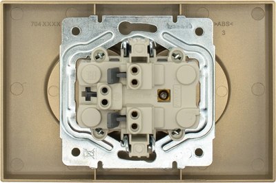 Розетка Lezard Zima 704-3600-128BQC