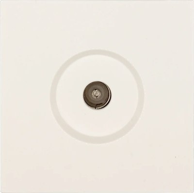 Розетка Lezard Zima 704-9088-130 - фото