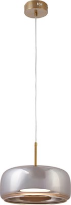 Потолочный светильник MyFar Charlie MR2131-1PL - фото