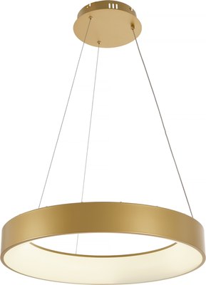 Потолочный светильник MyFar Shannon MR2192-1PL - фото