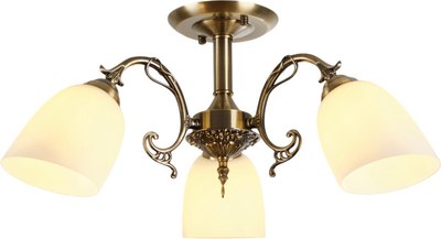 Потолочный светильник MyFar Biene MR1522-3C - фото