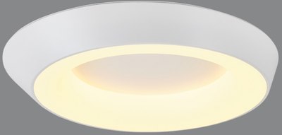 Потолочный светильник MyFar Phoebe MR9150-CL - фото