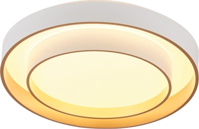 Потолочный светильник MyFar Rhea MR9161-CL