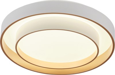 Потолочный светильник MyFar Rhea MR9161-CL