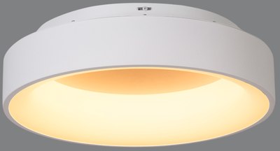 Потолочный светильник MyFar Shannon MR2194-1PL - фото