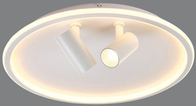 Потолочный светильник MyFar Focus MR9050-CL - фото