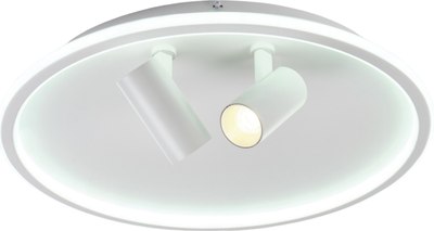 Потолочный светильник MyFar Focus MR9050-CL