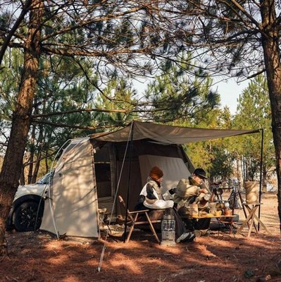 Палатка Naturehike Cloud wild car / CNH22ZP014-KH (песочный)