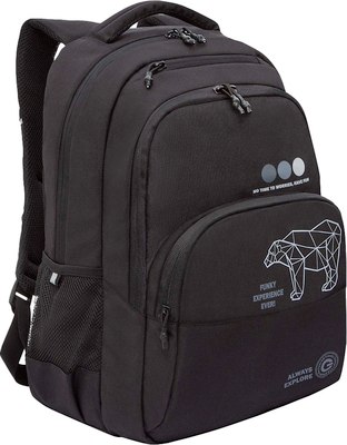 Школьный рюкзак Grizzly RU-530-3 - фото