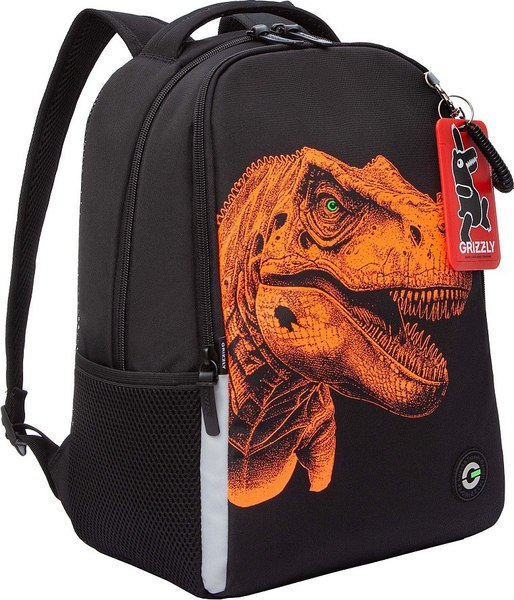 Школьный рюкзак Grizzly RB-551-6