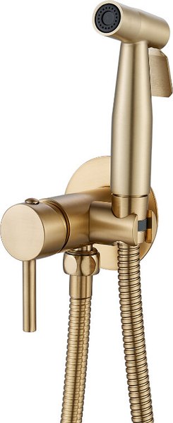 Гигиенический душ со смесителем Shevanik S147G - фото