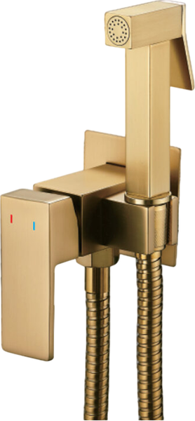 Гигиенический душ со смесителем Shevanik S127G - фото