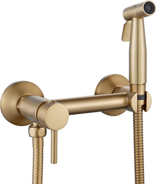 Гигиенический душ со смесителем Shevanik S107G - фото