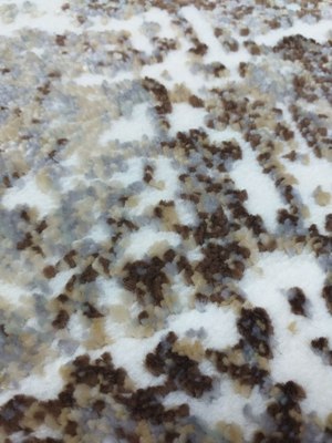 Ковер Витебские ковры Botticelli Прямоугольник 8087 a3