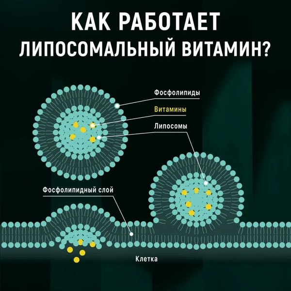 Минерал Atech Nutrition Iron Premium Liposomal Железо