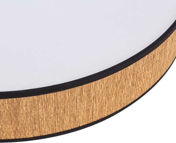 Потолочный светильник Rexant Alata Lumi Line 650-1077