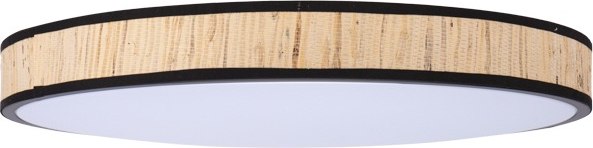 Потолочный светильник Rexant Moso Lumi Line 650-1074 - фото
