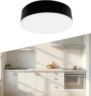 Потолочный светильник Truenergy 11163 - фото