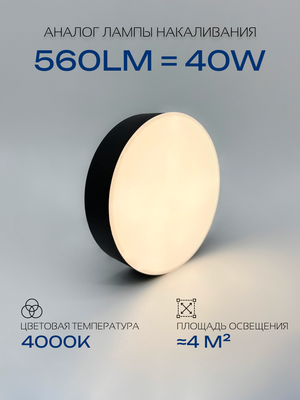 Потолочный светильник Truenergy 11163