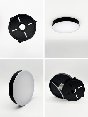 Потолочный светильник Truenergy 11164