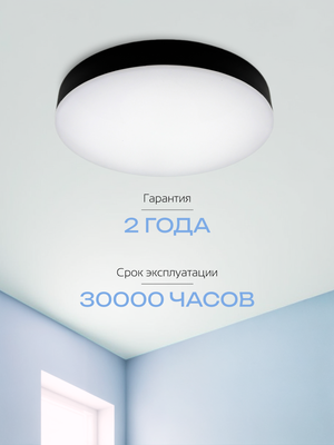 Потолочный светильник Truenergy 11165