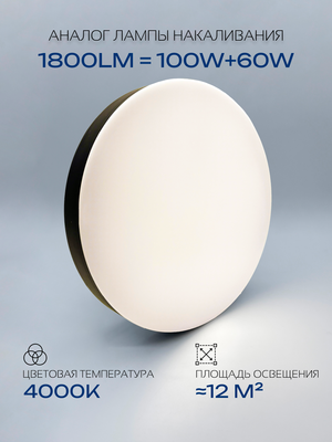 Потолочный светильник Truenergy 11165