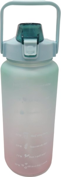 Бутылка для воды Sundays Summer - фото