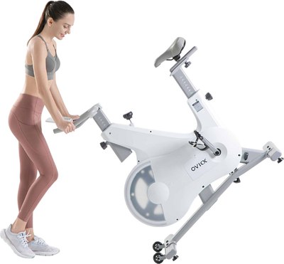 Велотренажер DFC Ovicx B-Q210W