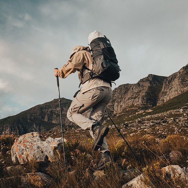 Трекинговая палка Naturehike NH17D017-D-UG