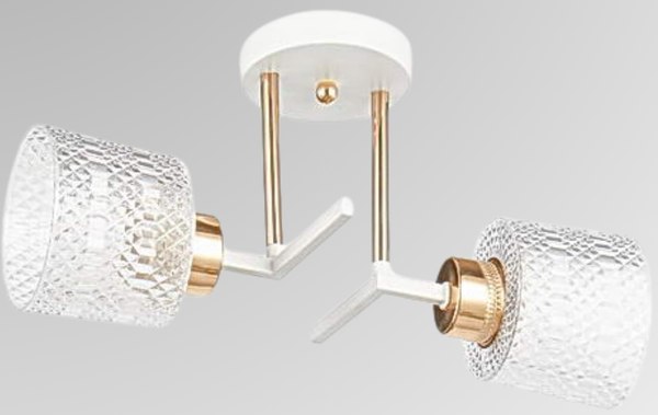 Потолочный светильник Aitin-Pro НПБ 02-2x40-101 / 6256/2 - фото