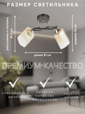 Потолочный светильник Aitin-Pro НПБ 02-2x60-101 /т6286/2