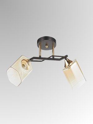 Потолочный светильник Aitin-Pro НПБ 02-2x60-101 /т6286/2