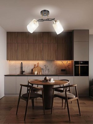 Потолочный светильник Aitin-Pro НПБ 02-2x60-101 /т6286/2