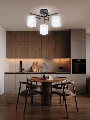 Люстра Aitin-Pro НПБ 02-3x60-101 / 5019/3