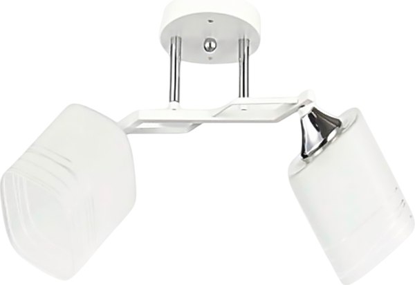 Потолочный светильник Aitin-Pro НПБ 02-2x60-101 / 6288/2 - фото