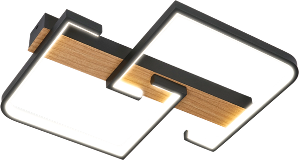 Потолочный светильник Aitin-Pro WD1019 - фото