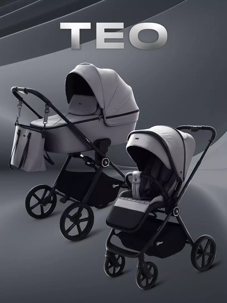Детская универсальная коляска Rant Teo 2в1 / RA120